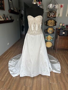 Casablanca Style 2278 Daylily Size 10